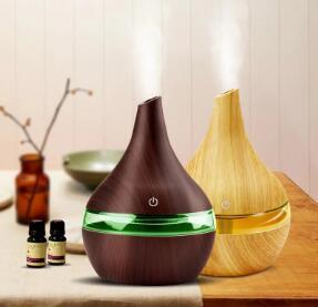 Elegant Humidifier & Air Purifier